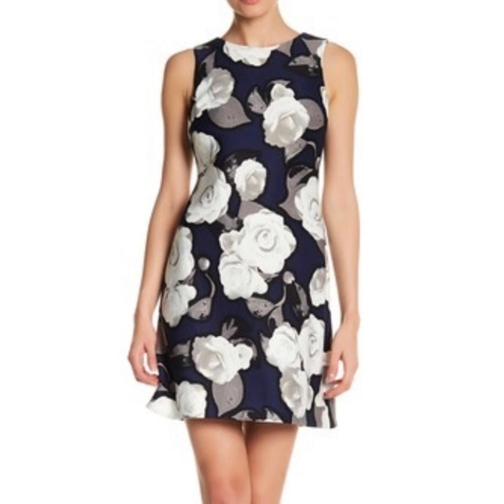 ::NWT:: Taylor Rose Shift Dress